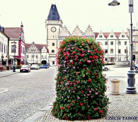 /album/tabor-photo/a066-001-jpg/